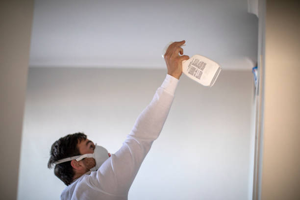 Best Mold Testing  in Dolgeville, NY