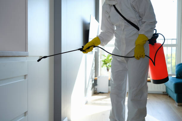 Best Professional Mold Removal  in Dolgeville, NY
