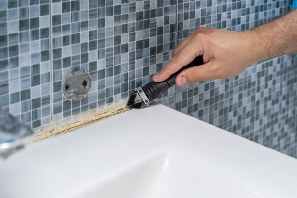 Best Commercial Mold Removal  in Dolgeville, NY