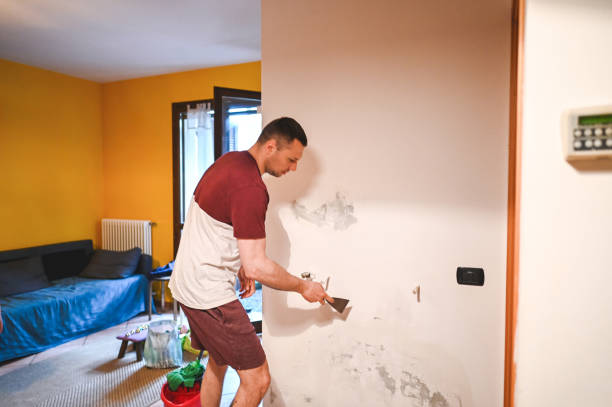Best Toxic Mold Removal  in Dolgeville, NY